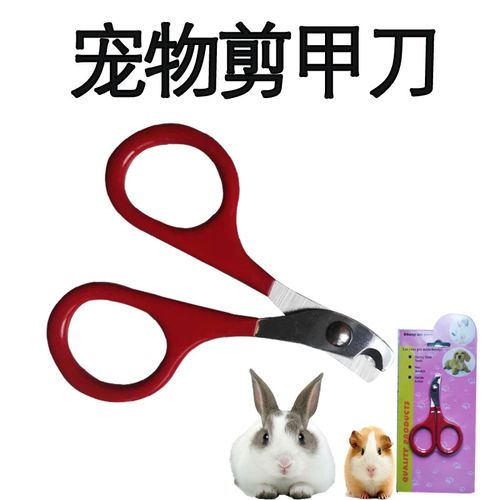 宠物兔与龙猫必备 专业指甲剪的选购与使用指南